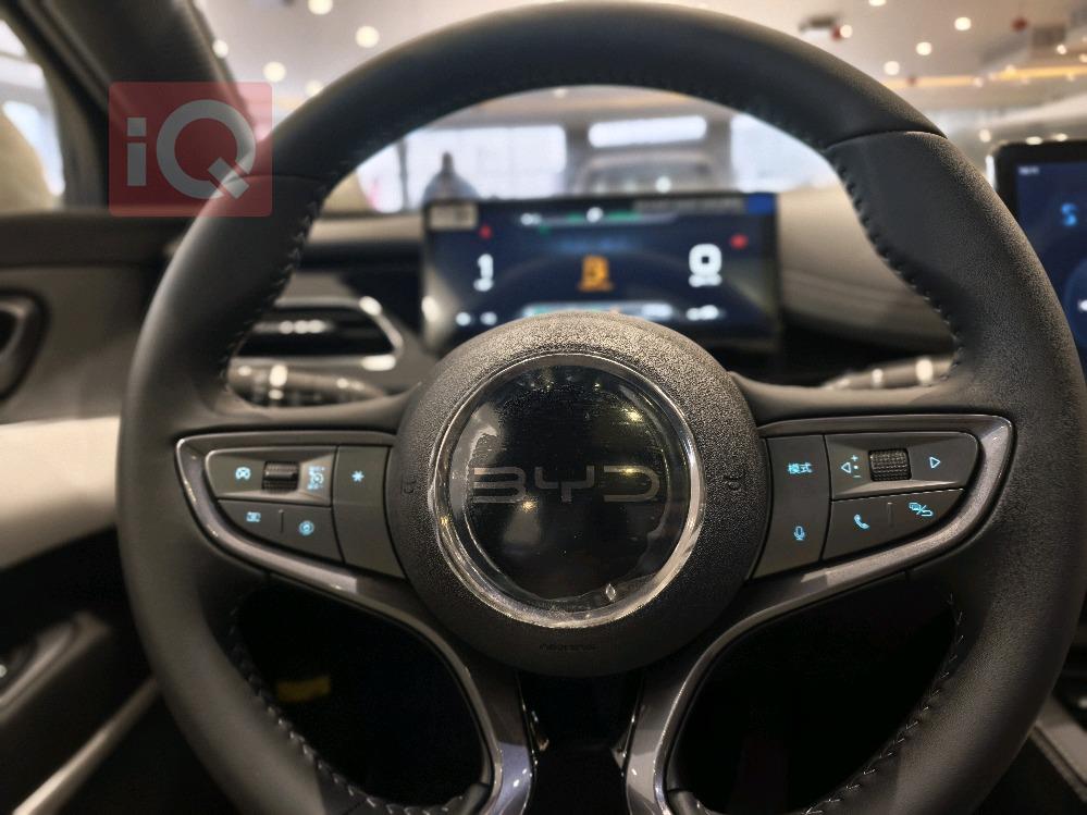 بي واي دي سيل 06 DM-i